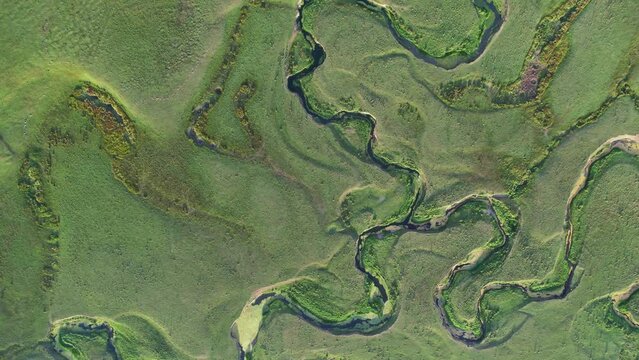 Aerial view of meander of meandering river in wide flat green meadow. Aerial view sheeps on plateau in turkey.
