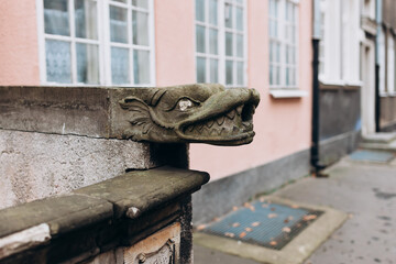 Head of dragon as decoration on old street in Gdansk, Poland