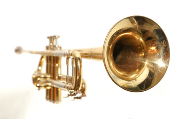 Trumpet on White Background
