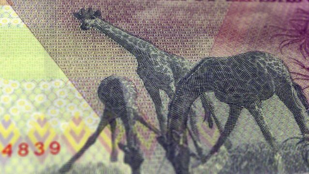 Zimbabwe Zimbabwean Dollar 5 Banknotes, Five Zimbabwean Dollar, Close-up and macro view of the Zimbabwean Dollar, Tracking and Dolly Shots 5 Zimbabwean Dollar banknote Observe and Reserve Side