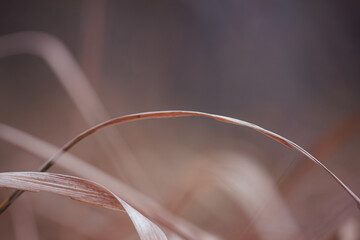 bending through time