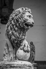The King Lion  Sculpture