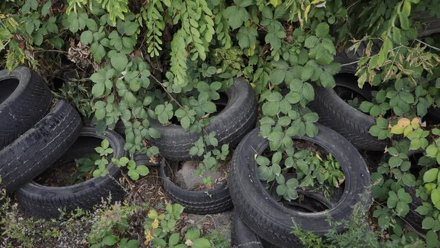 old used car tires illegally disposed of in nature