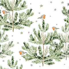 Christmas seamless pattern, robin birds, green pine trees, stars, white background. Vector illustration. Nature design. Season greeting. Winter holidays