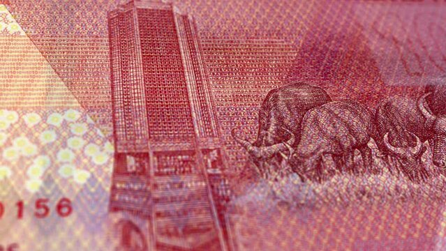 Zimbabwe Zimbabwean Dollar 10 Banknotes, Ten Zimbabwean Dollar, Close-up and macro view of the Zimbabwean Dollar, Tracking and Dolly Shots 10 Zimbabwean Dollar banknote Observe and Reserve Side