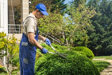 Garden Pruning Worker, Cutting the Sprigs and Leaves concept.