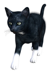 A series of various 3D cat illustrations, in different poses and fur shades. Image 22 of series