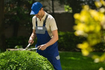 Garden Pruning Worker, Cutting the Sprigs and Leaves concept.