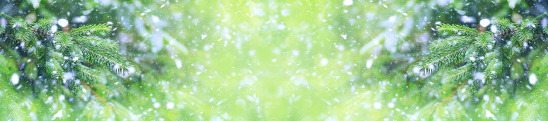 Fototapeta na wymiar Green Christmas tree in the snow. Christmas background. Blizzard.Winter. New Year. Snowfall in the forest.