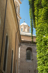 Alley near Piazza Navona with ivy and view of Chiostro del Bramante, Rome, Italy