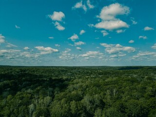 an aerial shot over the forest with blue skies and white clouds