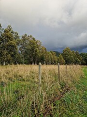 Obraz premium Vertical of barbed fence in a green field on a cloudy day