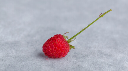 delicious and healthy red raspberries on the table