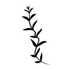 Fototapeta premium Leaves silhouette. Plant shadow.