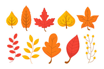 Set of orange leaves vector concept