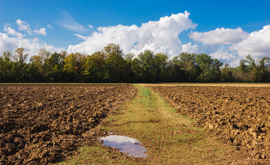 Freshly plowed organic field. Autumn field. Conscious cultivation. Palù Quartier del Piave, Italy.