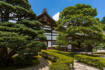 Expansive white building with several lush green trees surrounding it
