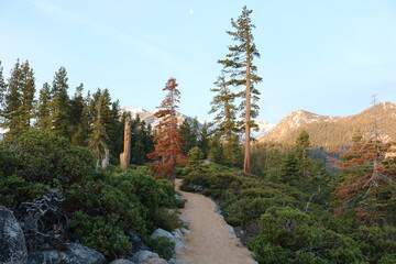 Tahoe trail © Annie