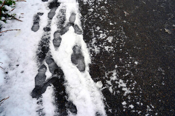 Shoe imprints in the snow cover covered sidewalk. The snow has not been cleared away. The other...