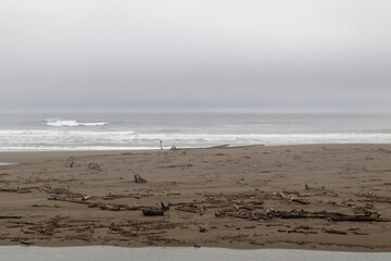 Storm on the beach on the west coast, Image shows dark grey clouds and rough Pacific seas which has covered the beach in drift wood and as a storm heads to the coast from the Pacific ocean