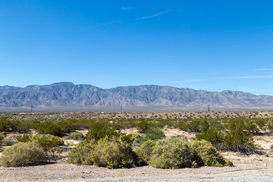 Desert landscape, image shows the beautiful landscape in the Nevada desert with a mountain view in the background, taken October 2023