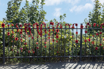  Hand-knitted remembrance red poppies fixed to railings next to the Step Short Memorial to soldiers who died in World War One