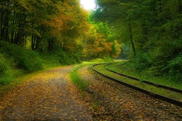 Autumn Landscape of leaf-covered Great Allegheny Passage Trail curving beside railroad tracks...