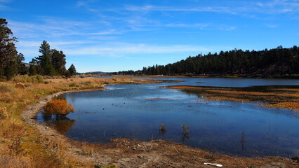 Beautiful marshland with blue sky