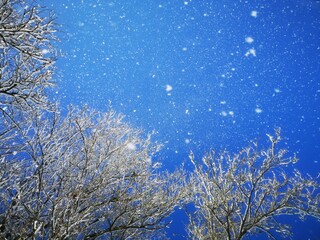 Winter wonder way Ingolstadt-Haunw&ouml;hr