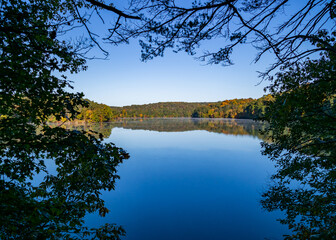 reflection of trees in lake
