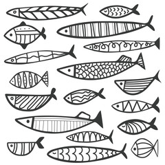 Collection of vector hand drawn cute fishes in flat style. Fishes body vector icons big set. Vector illustration for print, icon, card, label. Aquarium.