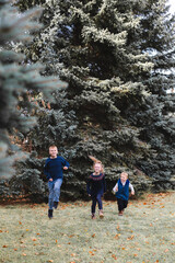 Three Kids Running Among Pine Trees