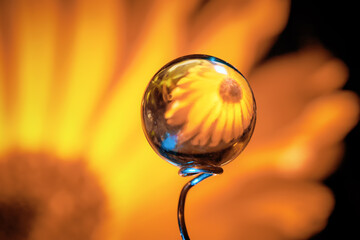 colorful hydrogel balls, creative abstract macro photography