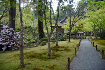 三千院　往生極楽院　京都市左京区大原