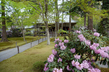 Naklejka premium 三千院 本堂 京都市左京区大原