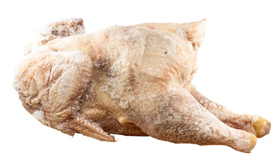 chicken isolated on white