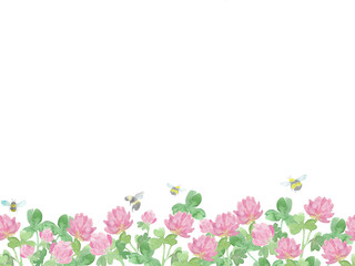 Watercolor seamless horizontal pattern with clover flowers and bees. Romantic background. Three-leafed, Red clover, field flowers. Symbol of good luck. St. Patrick s Day Background, botanical frame