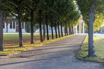 Pedestrian walkway in the park with trees and grass in autumn