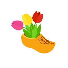 Traditional Dutch wooden shoes, clogs with tulips. isolated on white background. Dutch klomp shoes and tulips.