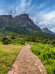 Paved walkway leading to the mountain through lush vegetation and trees in Kirstenbosch National Botanical Garden, Cape Town, South Africa