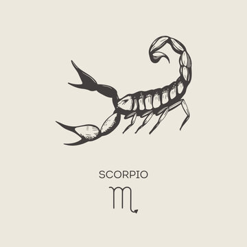 Scorpio zodiac symbol, hand drawn in engraving style.