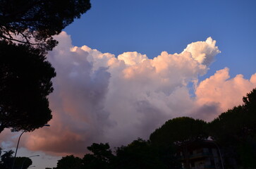 pink puffy clouds in the sky