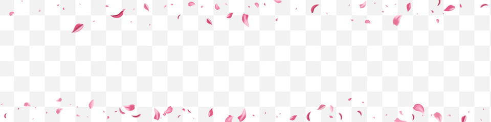 Delicate Rose Spring Vector Transparent Panoramic