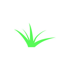 Fototapeta premium Grass