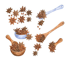 The set of watercolor illustrations of the star anise in wooden bowls and spoons. Elegant traditional watercolor drawing of the aromatic spice for the autumn and winter holiday seasons