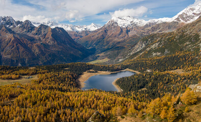 Foliage all'Alpe e Lago Palù, Valmalenco, in autunno