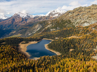 Foliage all'Alpe e Lago Palù, Valmalenco, in autunno