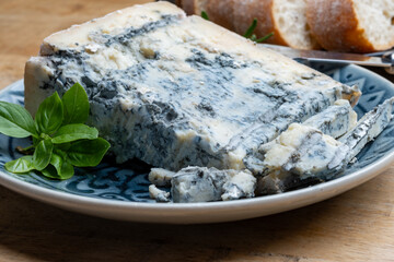 Cheese collection, piece of italian blue cheese gorgonzola picante with blue mold from north of Italy