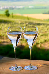 Tasting of premier cru sparkling white wine with bubbles champagne with view on green pinot noir, meunier vineyards of Hautvillers and valley of Marne river, France.