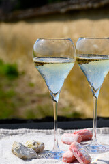 Tasting of grand cru sparkling white wine with bubbles champagne with view on old houses of Oger, small village with grand cru vineyards, France.
